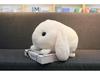 "Lop-Eared Rabbit Plush Pillow Toy - Big-Eyed, Soft Doll for Kids"