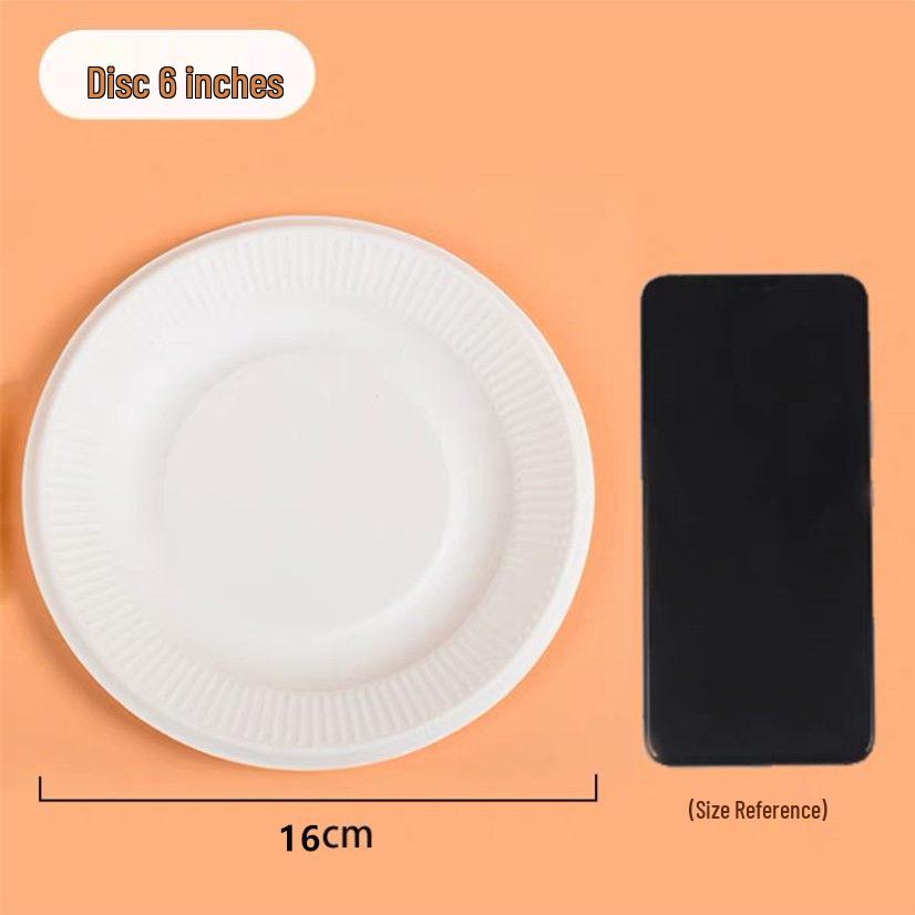 Hand-Painted DIY White Paper Plates for Kindergarten Arts & Crafts