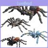 Realistic Wild Insect Model Pack With Static Spiders For Educational Displays And Collection Enthusiasts