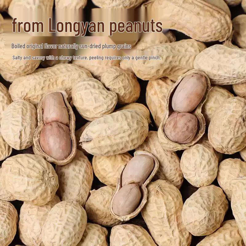 Qiaojishi Longyan Boiled & Dried Peanuts