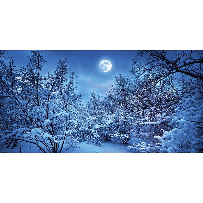 

5D комплект алмазной живописи Луна Ночной пейзаж Искусство Diy Алмазная вышивка Пейзаж Вышивка крестиком Гостиная Спальня Стена Домашний декор 30x60CM