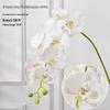 Luxusní realistická umělá květina Phalaenopsis pro svatby a domácí dekorace