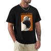 I May Be Dumb Pigeon Tshirt Regular Fit Plain Tee Shirt