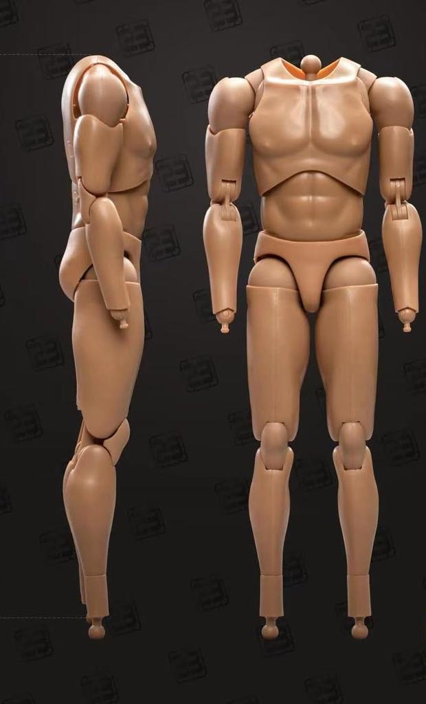 Toy Hobby [TOYBARJAPAN] 1/6 Scale Action Figure 23TOYS BD001/02/03/04/05/06 Male Action Body (Limbs Not Included) (23-BD004 23.5CM)