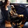 1pc Lion Printing Lightweight Flannel Blanket, Comfortable and Warm Blanket, for Camping Sofa Bed and Couch Office, Suitable for Gift Blanket