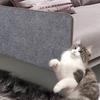 Cat Scratch Mat Wall Sofa Protection Cat Scratch Board Pad Self-Adhesive Cat Paws Sharpen Mat Massage Carpet Furniture Protector