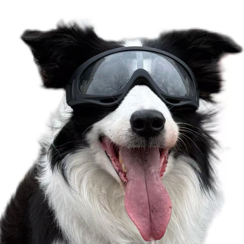 UV400 Anti-Fog Dog Goggles Adjustable Double Strap Windproof Dustproof Pet Sunglasses for Medium Large Dogs Riding Driving