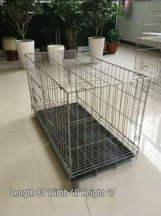 Large Outdoor/Indoor Cage for Rabbits, Chickens, and Pigeons - Model 862VxSFvH7