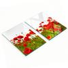Kitchen Multifunctional Decorative Glass Boards Wild Poppies 2X40X52 Cm