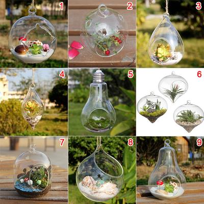Hängende transparente Kugel Glas Blume Pflanzer Vase Terrarium Landschaft Container