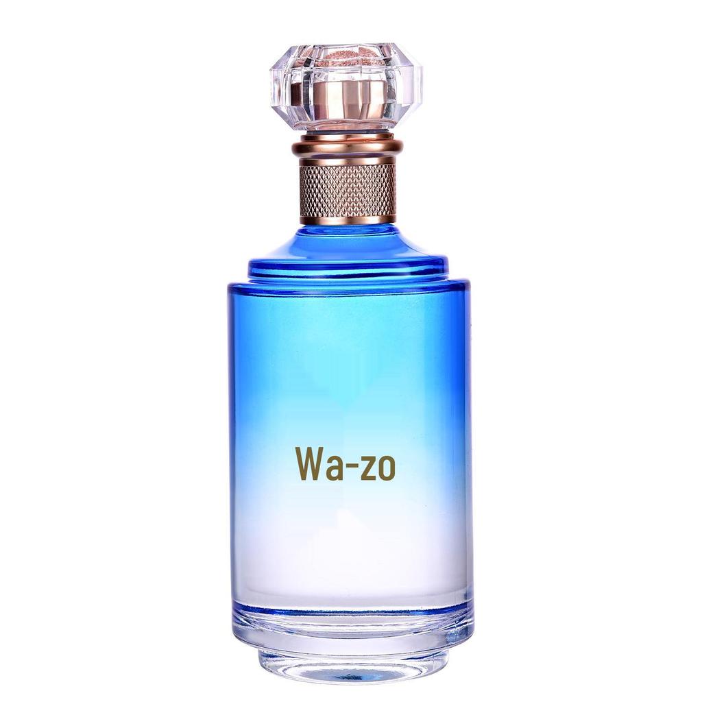 Premium Glass Wine Bottle with Sealed Gift Box - 1 Jin Capacity for Home Brewing and Baijiu.