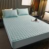 Sheet single piece padded thickened Simmons mattress protective cover polished mattress cover mattress cover all inclusive bed sheet dust cover