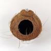 Coconut Shell Hanging Bird Nest for Parrots, Finch, Budgie, and Pearl Breeding.