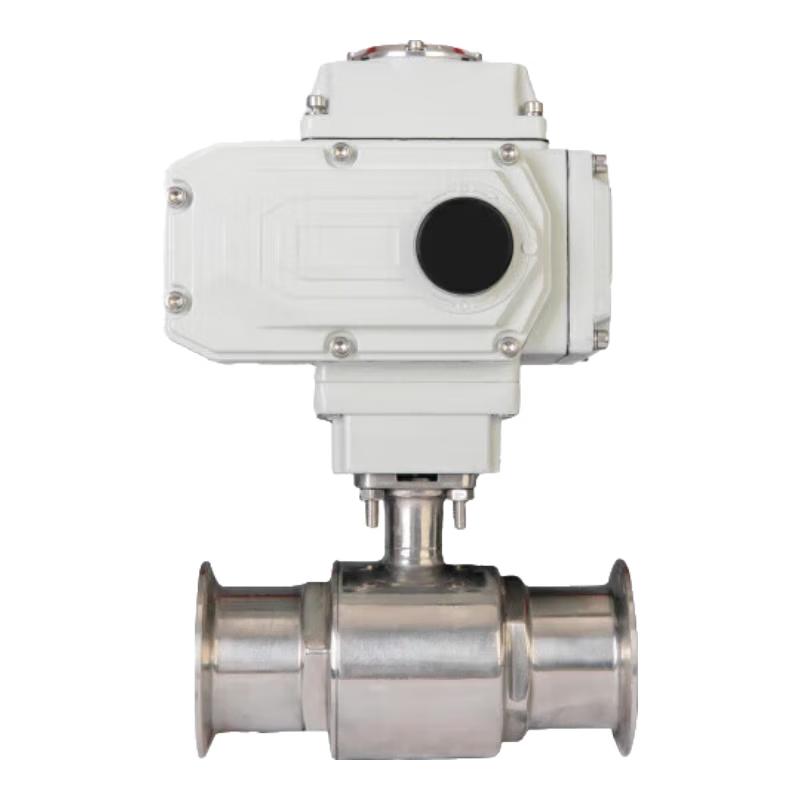Electric Gate Stainless Steel Sanitary Quick-Connect Clamp CN plug (adapter included)