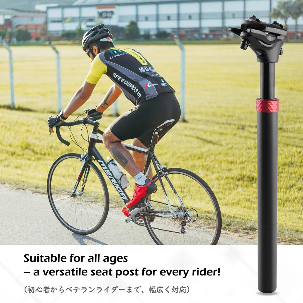 TRIWONDER Shock Absorber Suspension Seatpost for Mountain Bikes, 27.2mm, 28.6mm, 30.4mm, 30.9mm, 31.6mm, and 350mm (Black, 27.2 x 350mm)