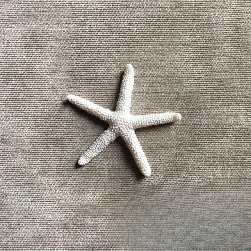 

Смола Морская звезда Средиземноморский стиль Аквариумные декоративные элементы Thin feet5.8cm