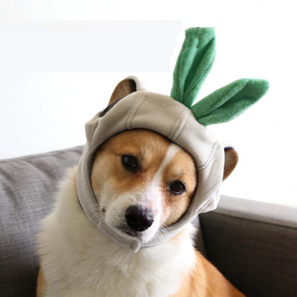 Funny Pet Hat Ear Hole Dog Headgear Decorative Pet Supplies