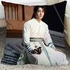 Cheng Yi Zeng Shunxi Xiao Shunyao Poster Double-sided Printed Pillowcase Mysterious Lotus Casebook Home Car Decor Cushion Cover