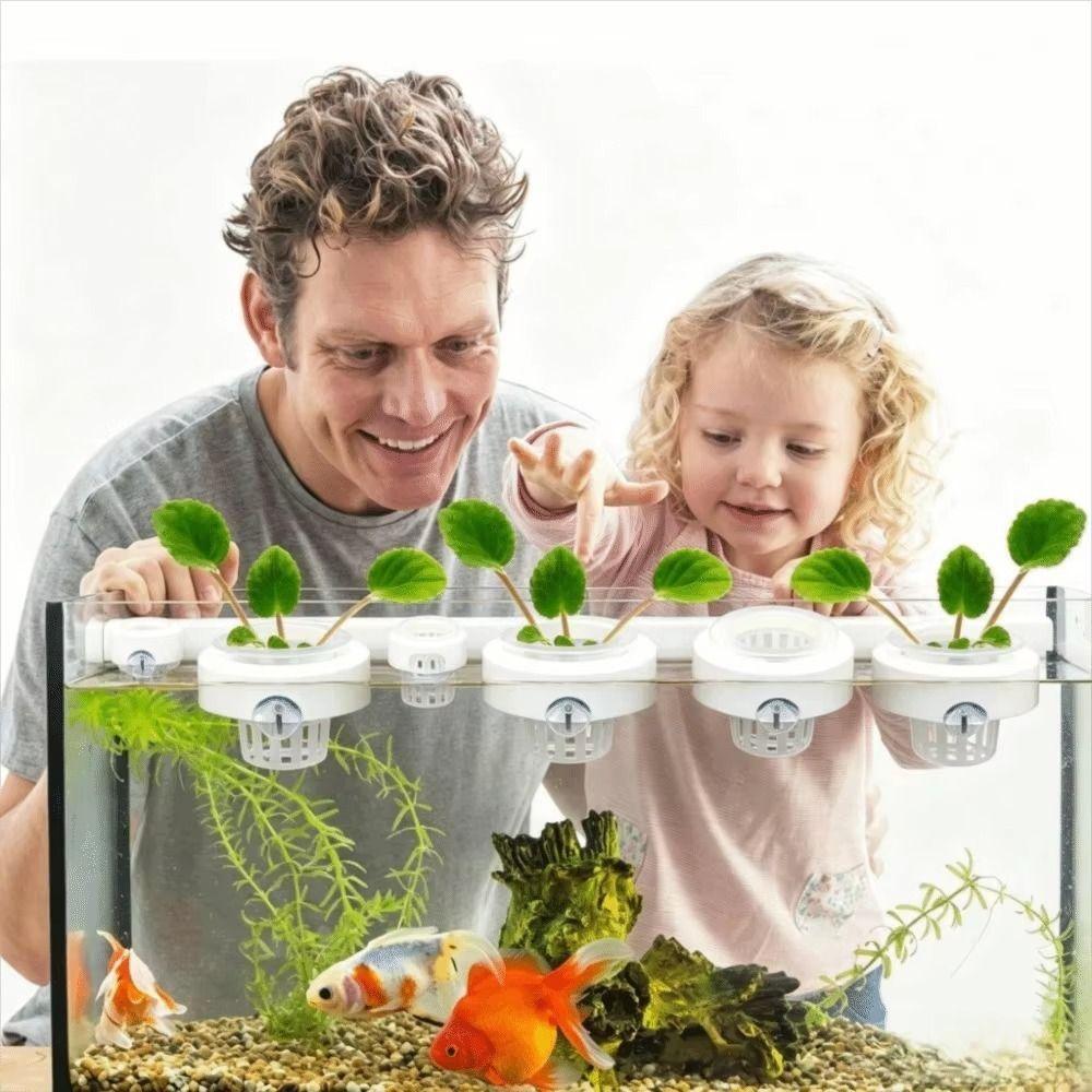 Round Floating Aquatic Plant Basket Plastic Hydroponic Plant Holder Aquatic Environment