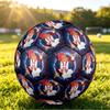 Serbia Printed Size 5 Soccer Ball Wear Resistant Standard Adult Training Football Fan Gift for Indoor Outdoor Match Sports