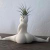 Hilarious Big Booty Ghost Planter Succulent Planter Air Plant Display Indoor Planter Decor Planter Plant Pots Funny Prank Gift