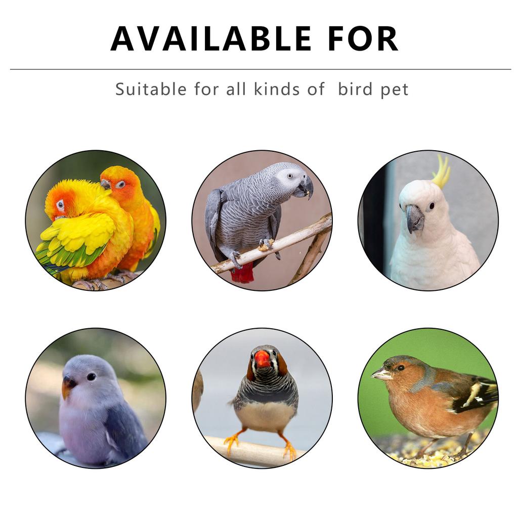 Tragbarer durchsichtiger Vogel Papageien Transportkäfig Fenster Belüftete Trage Tasche Atmungsaktive Vogeltrage Reisetasche