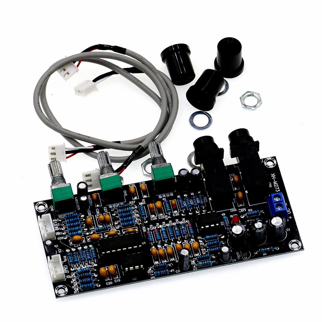XR-M273 Karaoke Amplifier Module Auditory Amplifier Board DC12-24V For Home Entertainment And Small Stage Performances