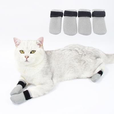 Gatos – Cuidados e higiene