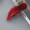 Natural Feather Diy Feather Dachang Feather Pheasant Hair Headdress Accessories Clothing Accessories 5-8Cm Colored Feather