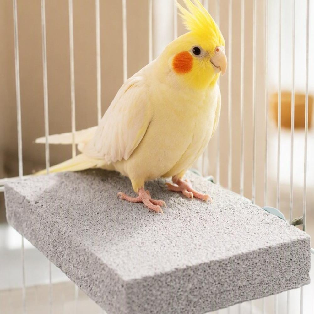 Washable Pumice Claw Grinding Platform Chew-Resistant Bird Resting Platform  Play Stand For Birds