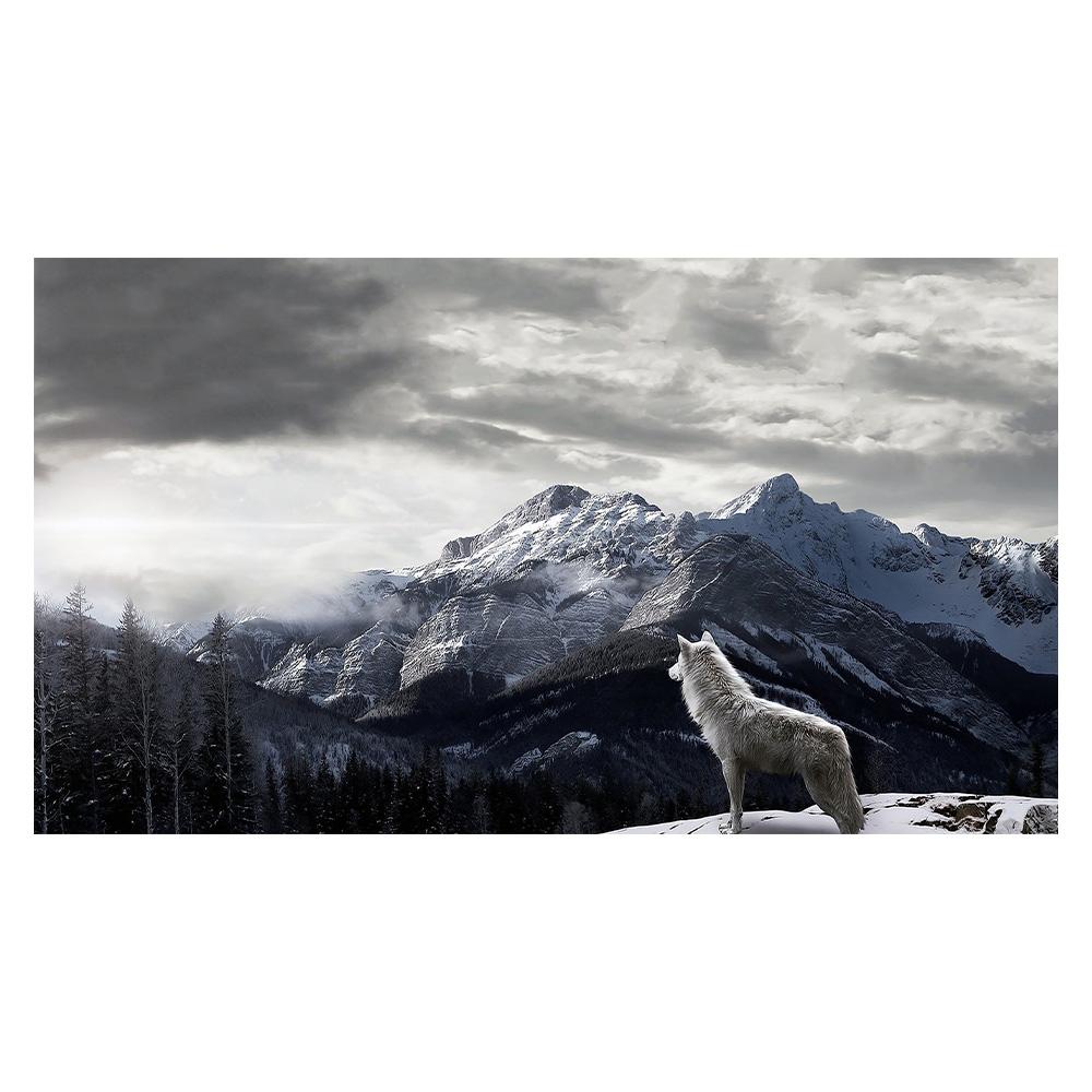 

Современная картина на холсте, постер с снежной горой и волком, настенная художественная картина для гостиной, Cuadros, домашний декор, HD печатная работа, без рамки 50x100cm белый