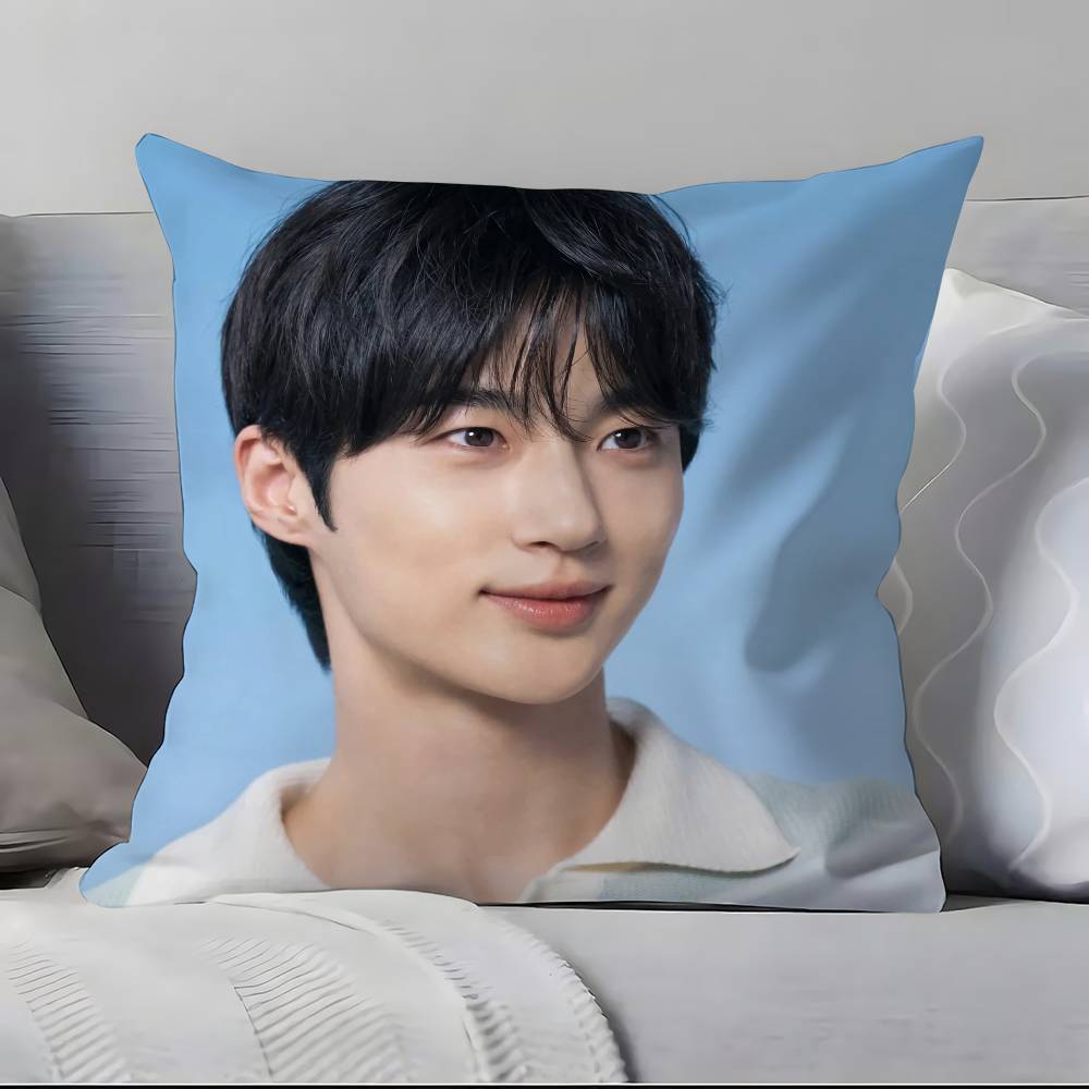 B-B-Byeon W-W-Woo-seok Pillow Case Pillowcase Soft Skin Friendly & Comfortable With A Hidden Zipper