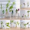 Plant Stand Hydroponic Plants Pothos Ivy Lucky Bamboo Succulents Cartoon Holder with Clamp Design Indoor Garden Decor