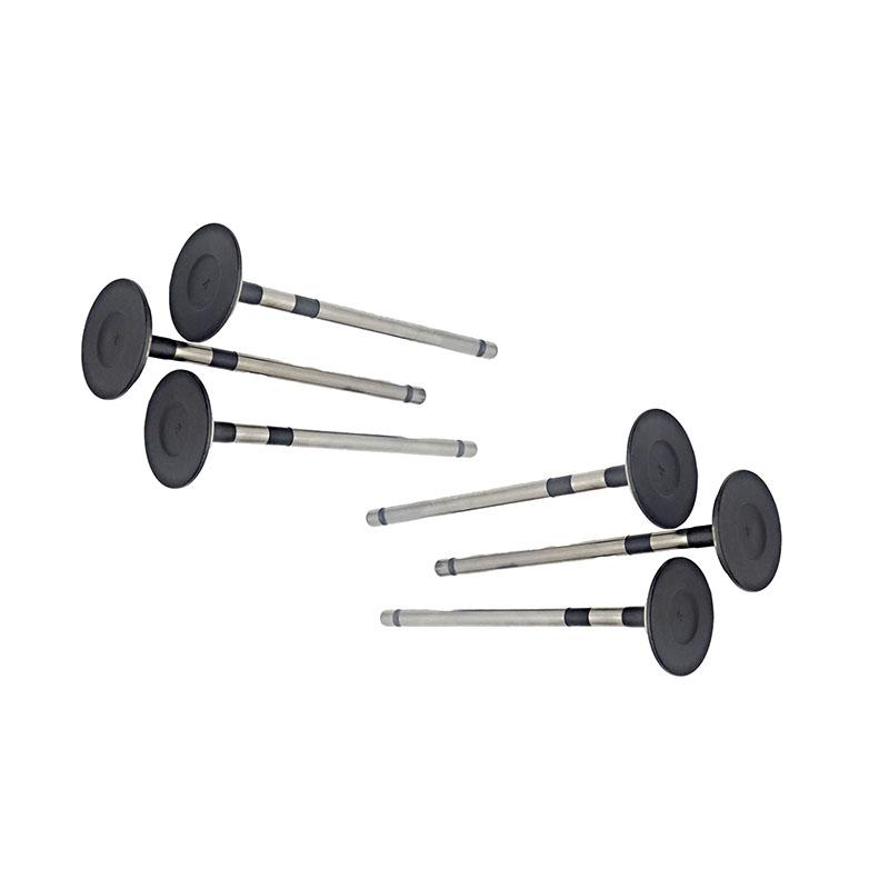 Suitable for Toyota Land Cruiser Prado(2TR 2.7L) 2004-2015 Exhaust Valve