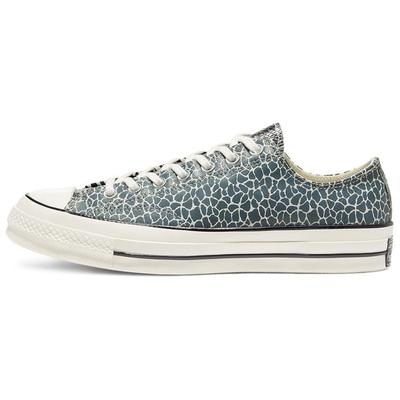 Chuck 70 Low 'Space Animal' 167283C