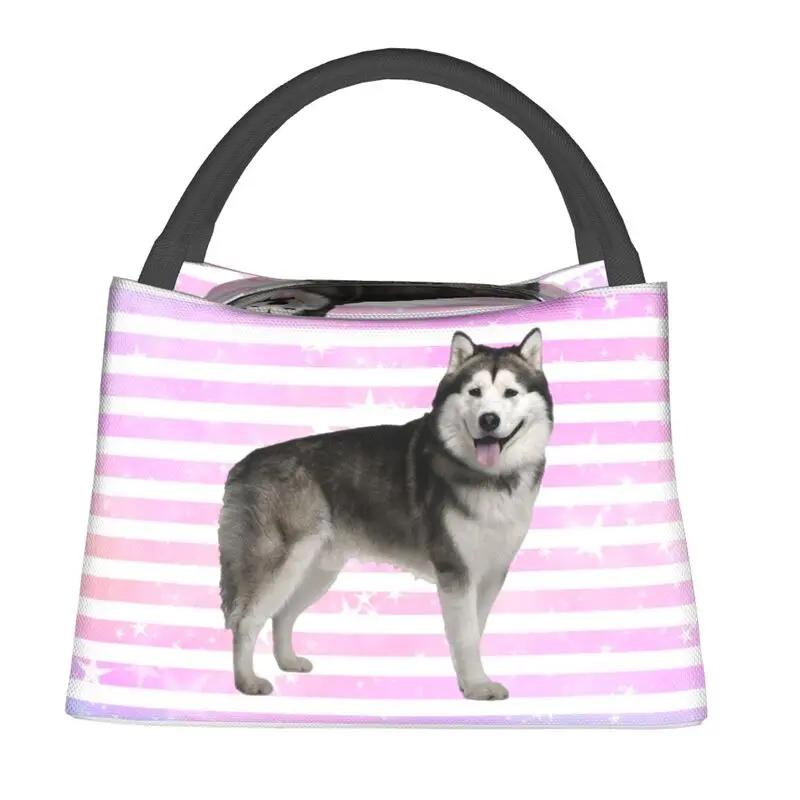 Lovely Pug Dog Insulated Lunch Tote Bag for Women Portable Cooler Thermal Bento Box Outdoor Camping Travel