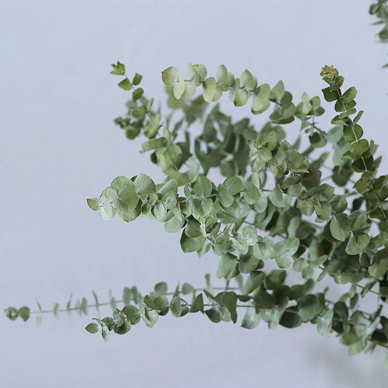 20pcs Eucalyptus Stems Dried Flowers Photography Props For Wedding Centerpiece Farmhouse Home