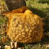 Orange raschel bag, large capacity, 40x63cm, 15kg