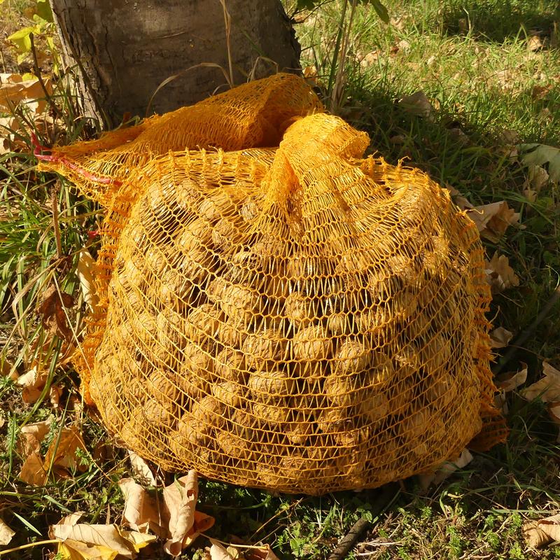 Orange raschel bag, large capacity, 40x63cm, 15kg