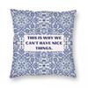 This Is Why We Can'T Have Nice Things Square Pillowcase Polyester Linen Velvet Creative Decorative Pillow Case Home Cushion 18"
