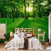 Green Sunshine Forest Wallpaper Mural Sunny Green Forest 3d Wall Mural Modern Home Decor Wallpaper For Living Room Bedroom