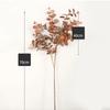 75cm Artificial Eucalyptus Leaves Greenery Artificial Plants New Home Decoration  Photography Props