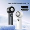 Lee Shen Ice Compress Handheld Cooling Fan