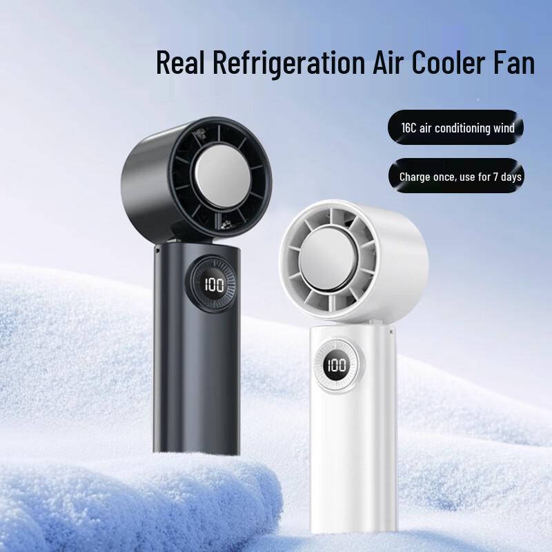 Lee Shen Ice Compress Handheld Cooling Fan