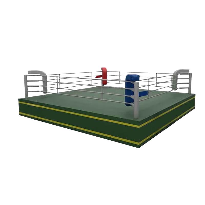 Professional Boxing and Sanda Fighting Ring