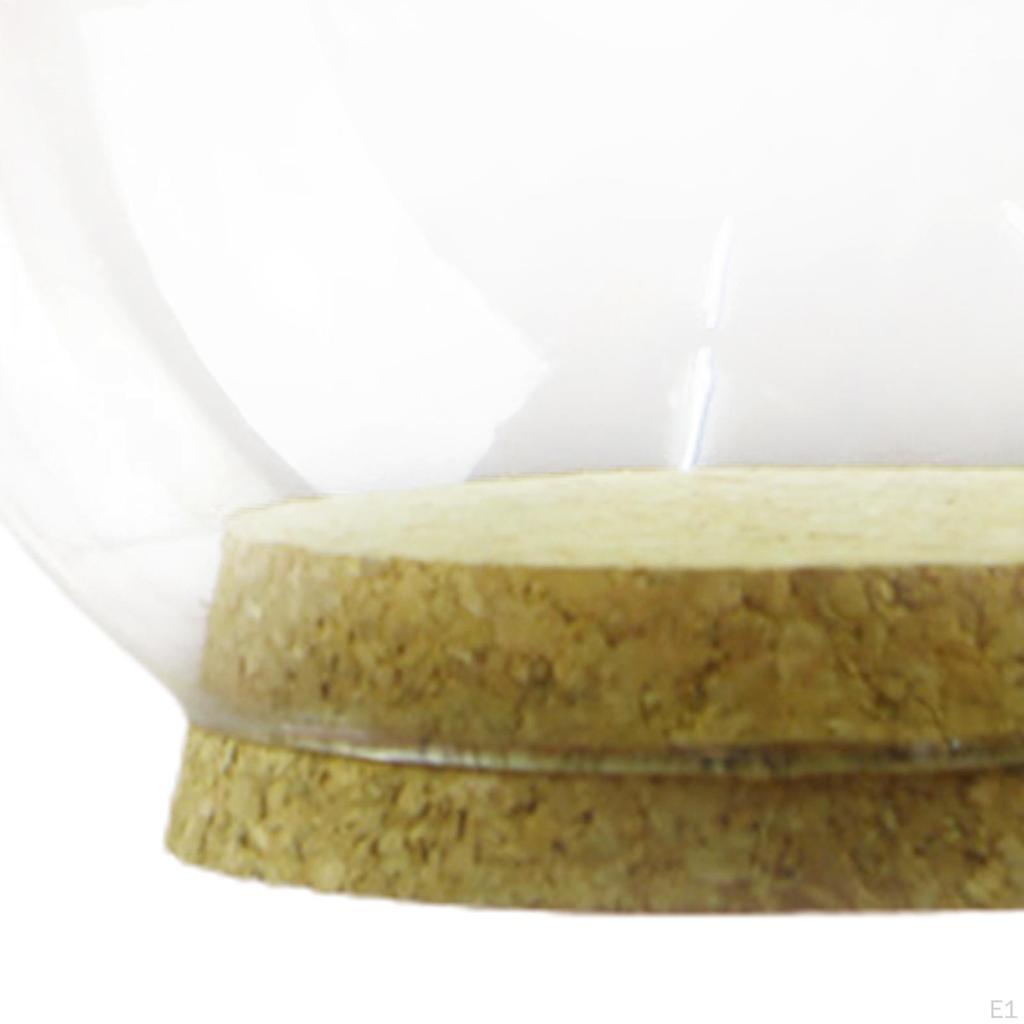 Clear Cork Base Display Decor Table Centerpieces Collectibles Stand Jar Dome Countertop