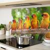 Kitchen Multifunctional Decorative Tempered Glass Board Parrot Branch 80X52 Cm