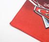 Marushin Disney Pixar Dead 30 x 30 2065020200 Taschentuch, Cars, Hitze, Ca.. cm,