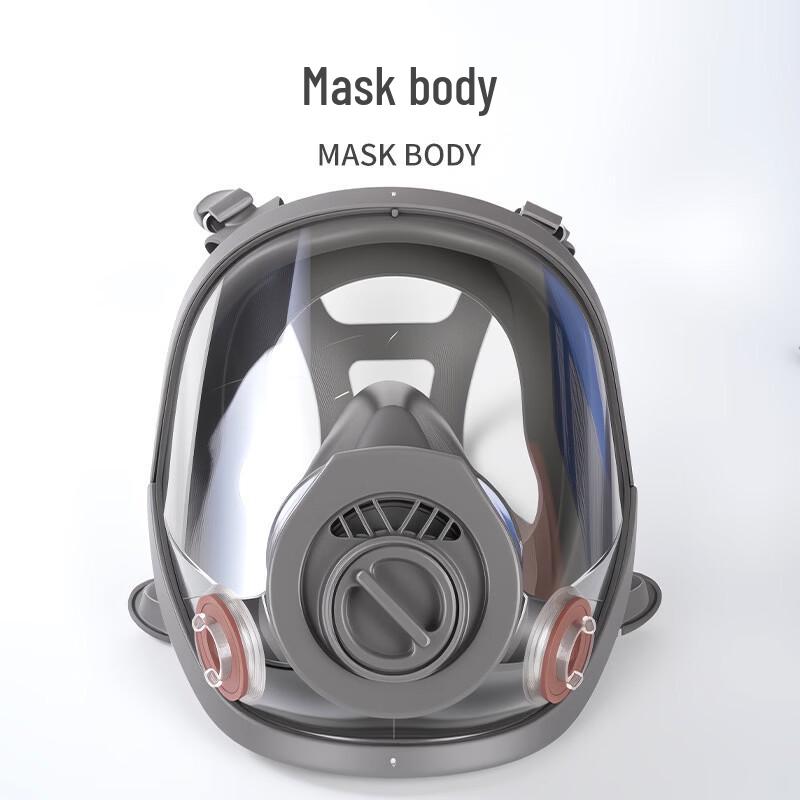 

Lieve Full Face Respirator Mask