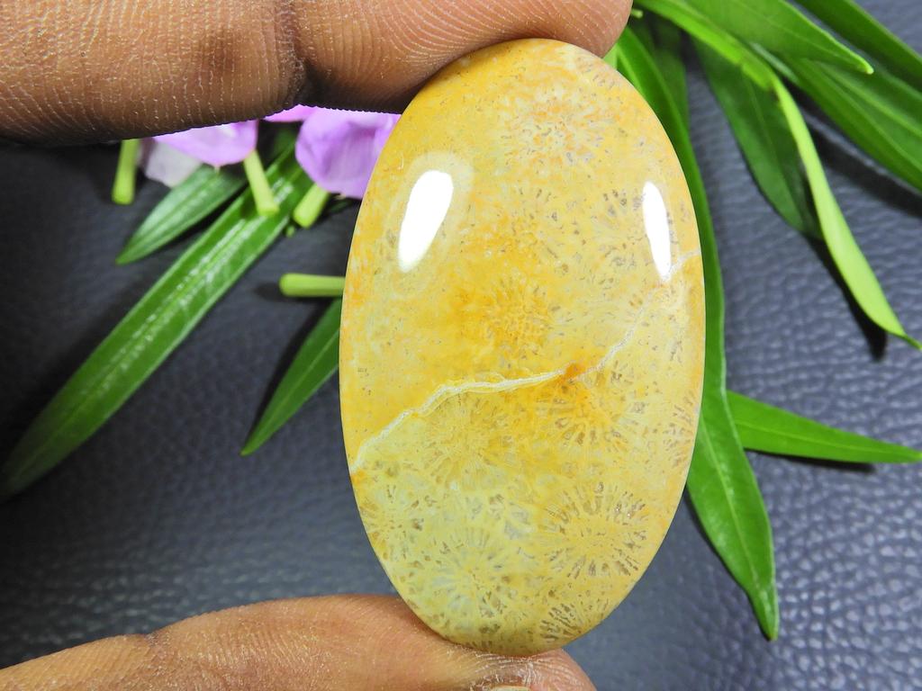 Confecționare Bijuterii Coral Fosil Natural Oval Cabochon Piatră Prețioasă Liberă 25X45X06 MM SK-652